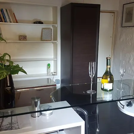 Apartment Apartman Sa Slobodnim Parkingom, Dvoristem I Malom Teretanom Belgrade